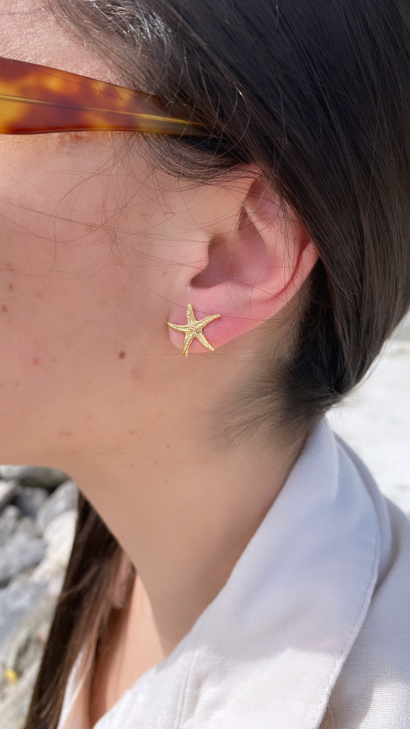 Orecchini stella marina