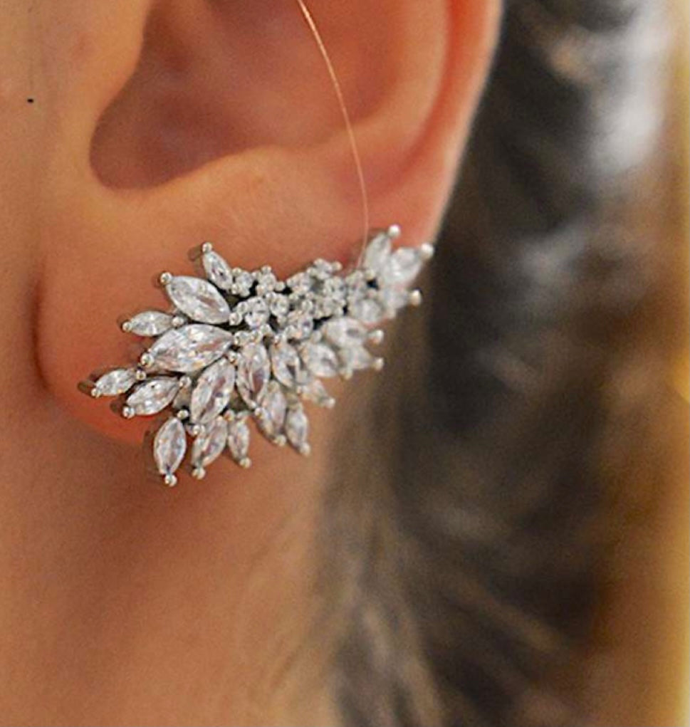 Luxury earring